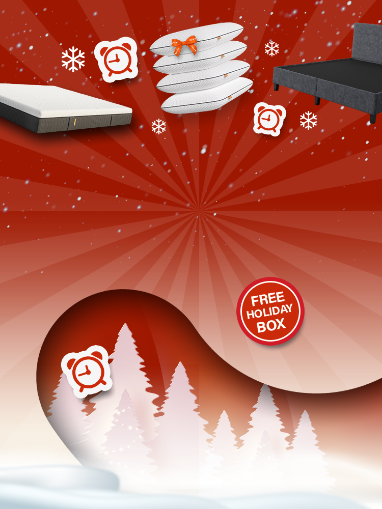 //www.emma-sleep.com.ph/cdn/shop/files/11.11_Desktop_Banner.png?crop=center&height=528&v=1762787087&width=400