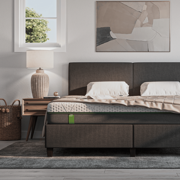 Sleep shop near 2024 me