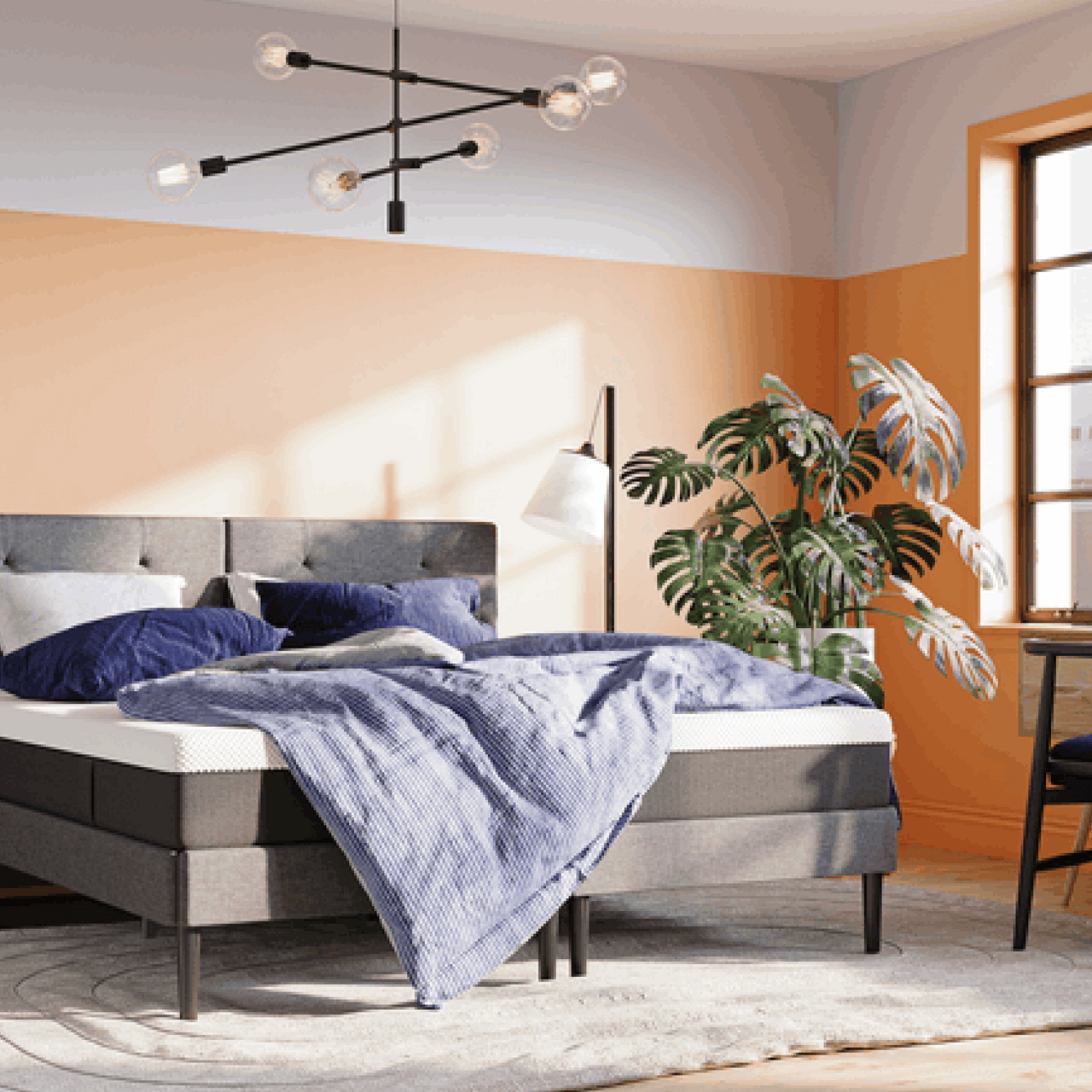 Fast & Free Shipping